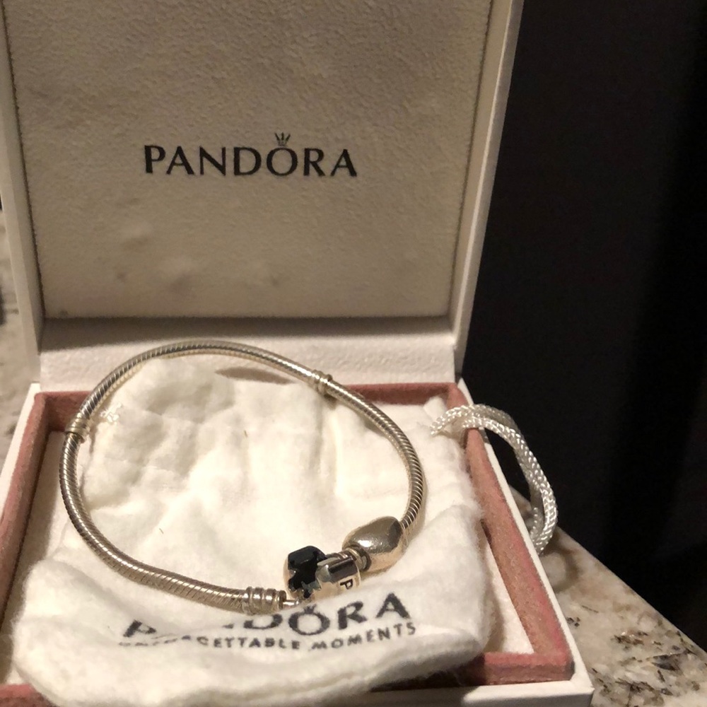 Pandora bracelet with heart pandora charm